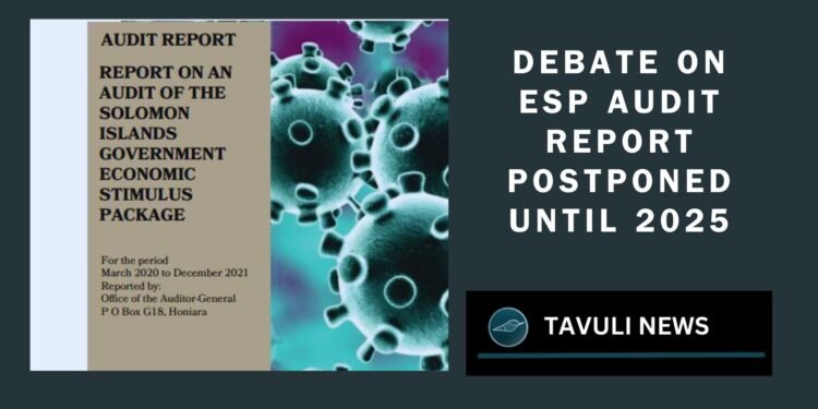 Debate on ESP Audit Report Postponed Until 2025
