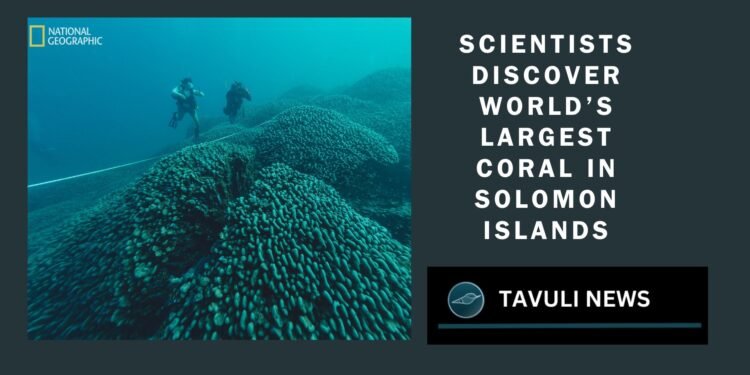 A team of researchers has uncovered the world’s largest coral in the southwest Pacific Ocean.
