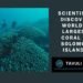 A team of researchers has uncovered the world’s largest coral in the southwest Pacific Ocean.