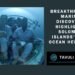 The recent discovery of a massive coral, believed to be one of the largest in the world, has brought global attention to the Solomon Islands' marine biodiversity.