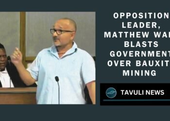 Opposition Leader Blasts Government Over Bauxite Mining Mismanagement