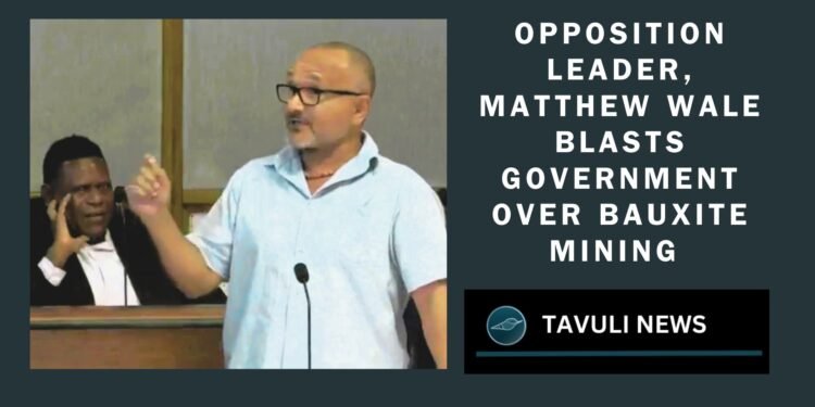 Opposition Leader Blasts Government Over Bauxite Mining Mismanagement