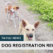 DOG REGISTRATION REQUIRED