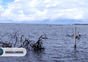 “There’s Just No More Land” – Walande’s Struggle Continues