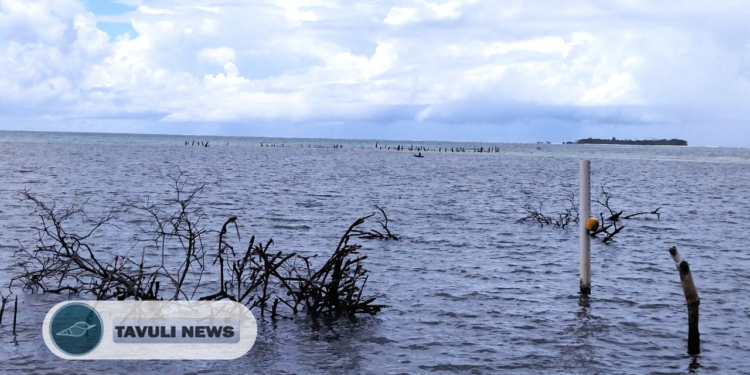 “There’s Just No More Land” – Walande’s Struggle Continues