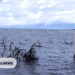 “There’s Just No More Land” – Walande’s Struggle Continues