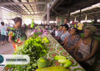 The Hidden Struggles of Honiara’s Market Vendors