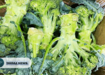 Biosecurity Officers Seize Produce