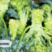 Biosecurity Officers Seize Produce