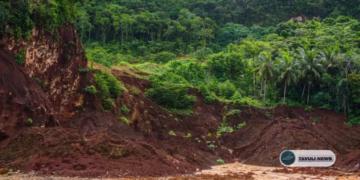 High Court Upholds Cancellation of APID Mining License