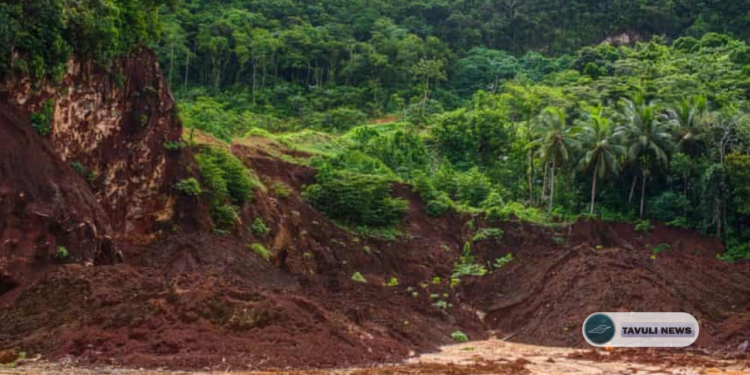 High Court Upholds Cancellation of APID Mining License