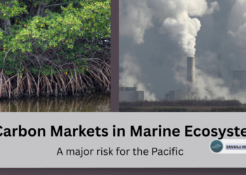 PANG Issues Warning on Carbon Markets in Oceans