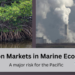 PANG Issues Warning on Carbon Markets in Oceans