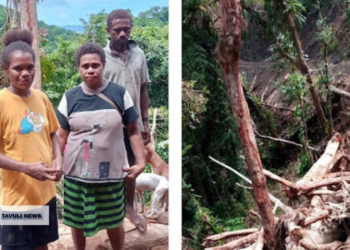 Women Block Loggers in East Makira