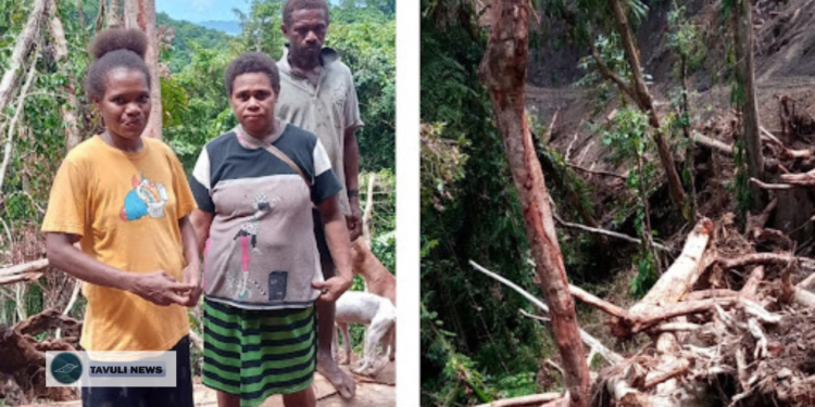 Women Block Loggers in East Makira