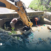 MID Urges Citizens to Maintain Clean and Safe Roads