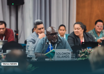 Embracing Pacific Heritage in Early Childhood Development