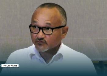 Wale Flags Investment Challenges