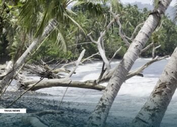 Stock image illustrating sea level rise (Mwanahuki village). Not specific to Santa Catalina.