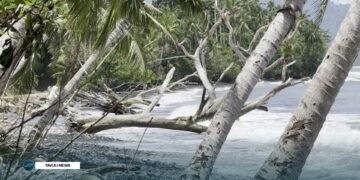 Santa Catalina Faces Growing Climate Strain