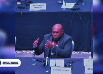 Solomon Islands calls for tailored renewable energy