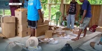 Ulawa Bee Farmers Receive Long-Awaited Boost as Beekeeping Equipment Arrives