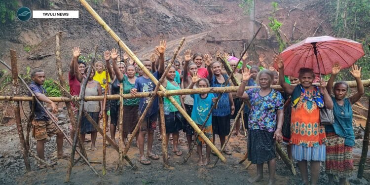 Nakrupe Alu is local women-led organization in the Hograno highlands that have led the demonstration against the logging activities on their communal lands.