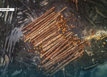 Wale hits out at gov’t negligence on impacts of logging on women & girls