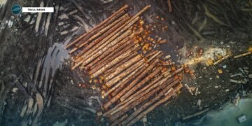 Wale hits out at gov’t negligence on impacts of logging on women & girls