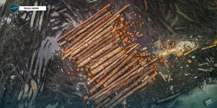 Wale hits out at gov’t negligence on impacts of logging on women & girls