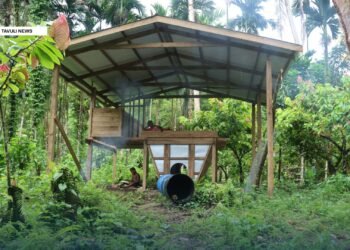 Women benefitting from SIART supported cocoa agribusiness in north Malaita
