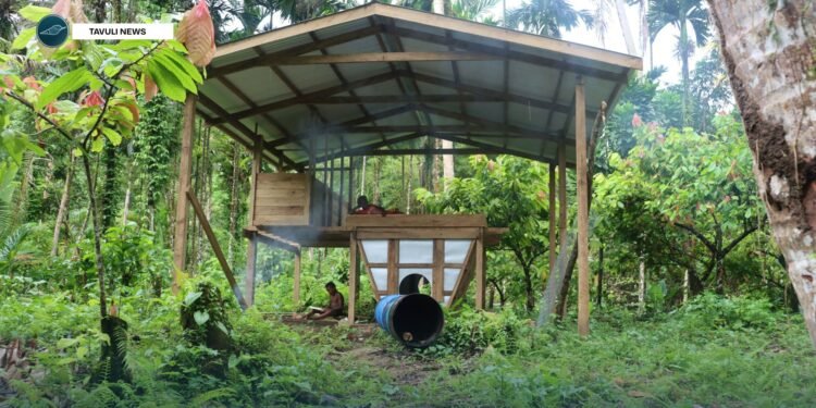 Women benefitting from SIART supported cocoa agribusiness in north Malaita