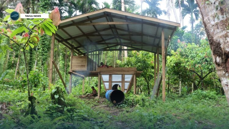 Women benefitting from SIART supported cocoa agribusiness in north Malaita