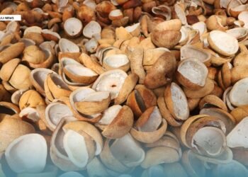 SICCI Calls for Revocation of CEMA Fees and Broader Consultation