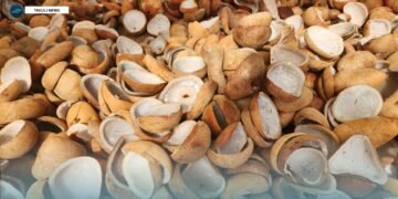 SICCI Calls for Revocation of CEMA Fees and Broader Consultation