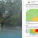STRONG WIND WARNING NUMBER ONE