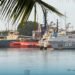 APHoMSA Maritime Safety Forum This Week