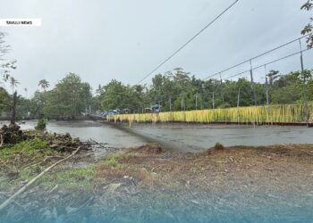 $1.6m Kukudu Suspension Bridge Officially Opens