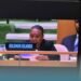 The Solomon Islands Delegation at the 11th Review Conference of the Non- Proliferation Treaty.