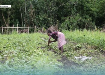 Beyond the Constituency Development Fund