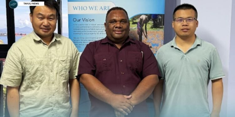 JAAS Rice Experts Support Solomon Islands Rice Development