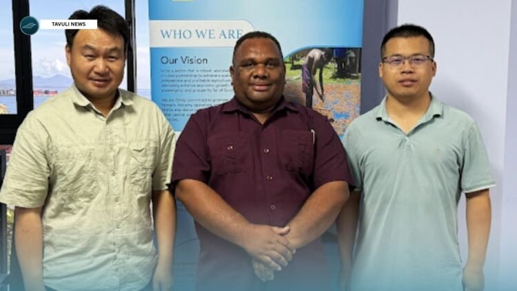 JAAS Rice Experts Support Solomon Islands Rice Development
