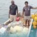 Shortlands Islands Disaster Response
