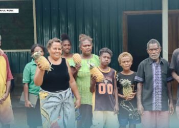 Villagers turn farms into agribusiness, produces first bottles of pineapple juice