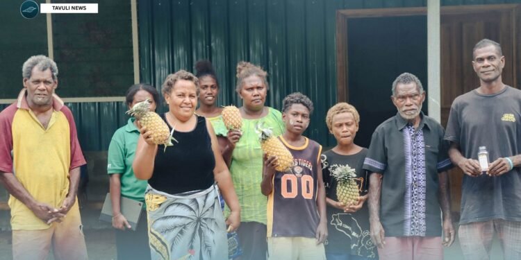Villagers turn farms into agribusiness, produces first bottles of pineapple juice