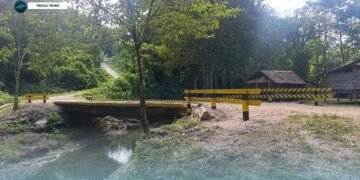 East Kwara’ae Timber Bridges Repaired by Local Group, Enhancing Access and Safety