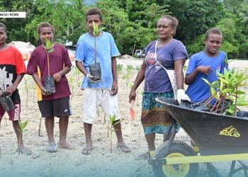 FROM SEEDLINGS TO SEAWALLS: COMMUNITIES STRENGTHEN MALU’U MARKET COASTLINE