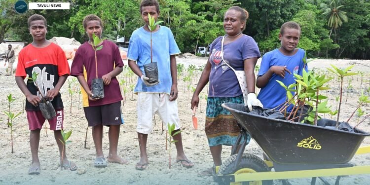 FROM SEEDLINGS TO SEAWALLS: COMMUNITIES STRENGTHEN MALU’U MARKET COASTLINE
