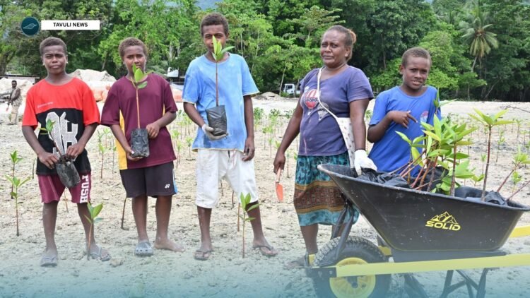 Everyone in the community has come together to support the transplanting – with North Shore Mangroves Committee member Elizabeth Andrew
