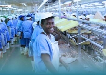 Commerce Ministry Acknowledges Gap in National Labour Workforce Data